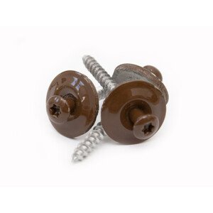 Gutta Vrut nerez V2A, 4,5 x 45 mm, lak bronz, 20 ks