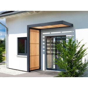 Boční stěna k vchodové stříšce Guttavordach BS Timber-Line, 220 x 90 cm GU7600112