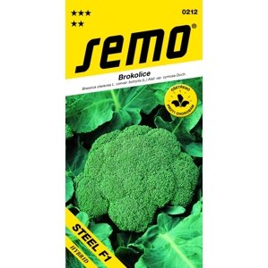 SEMO Brokolice - Steel (SV3277BL) F1 (typ Fellow F1) 30s celoroční