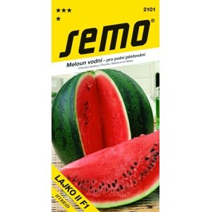 SEMO Meloun vodní - Lajko II F1 zelený 0,6g