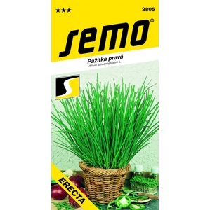 SEMO Pažitka - Erecta, vzpřímená 2g