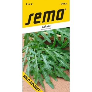 SEMO Roketa setá - Wild Rocket - Diplotaxis tenuifolia 1,2g