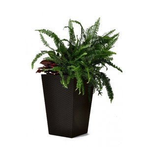 KETER Květináč Rattan Planter M - hnědý
