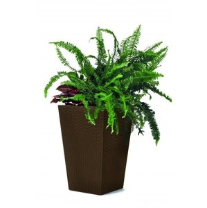 KETER Květináč Rattan Planter S - hnědý