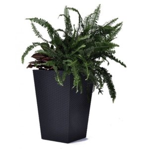 KETER Květináč Rattan Planter S - antracit